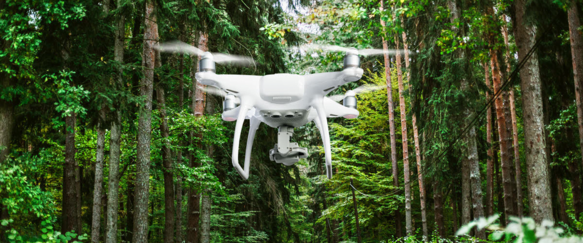 UAV in Forestry