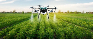 DJI Agriculture Drones flying over a sustainable farm.